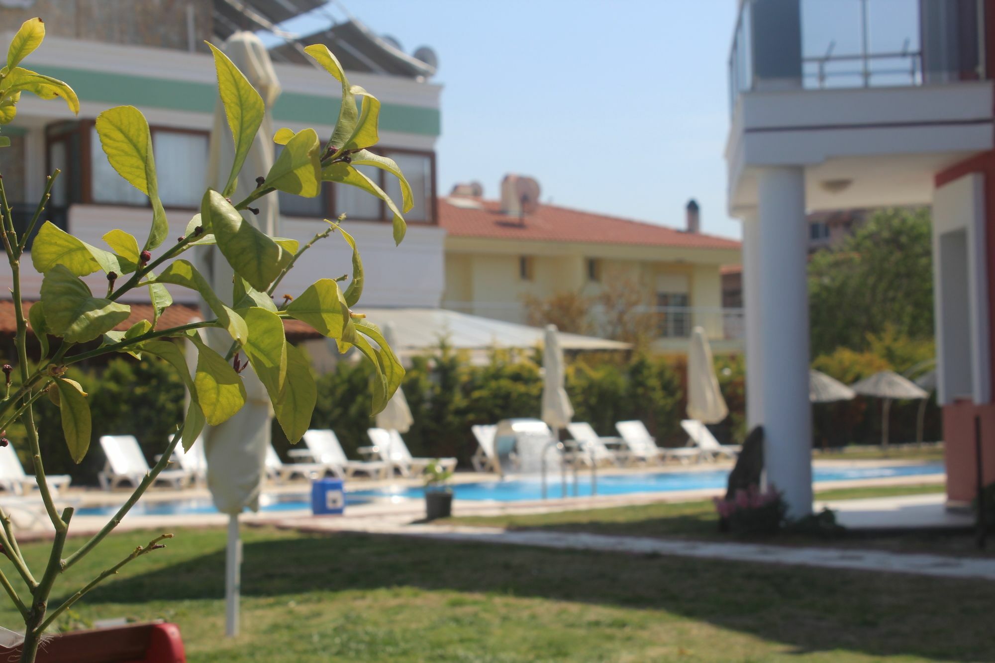 Cilek Butik Hotel Çeşme Eksteriør billede